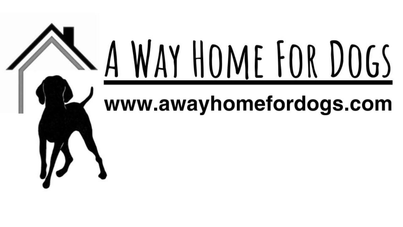 HandsOn San Diego Dog Walker and Kennel Assistant